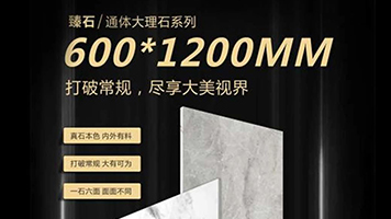 主流規格，科學比例，墻地皆宜——一圖看懂600×1200mm系列