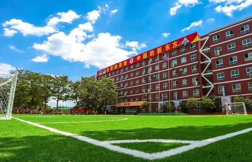 鄭州新東方學院