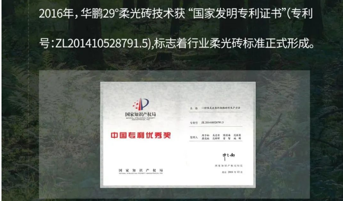 十年柔光歷程，榮譽滿載 | 遇見柔光